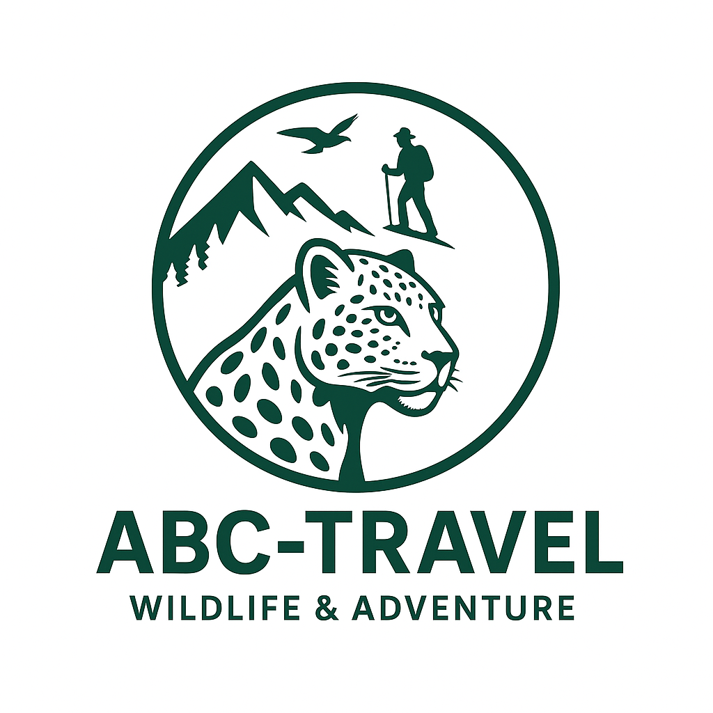 ABC Travel