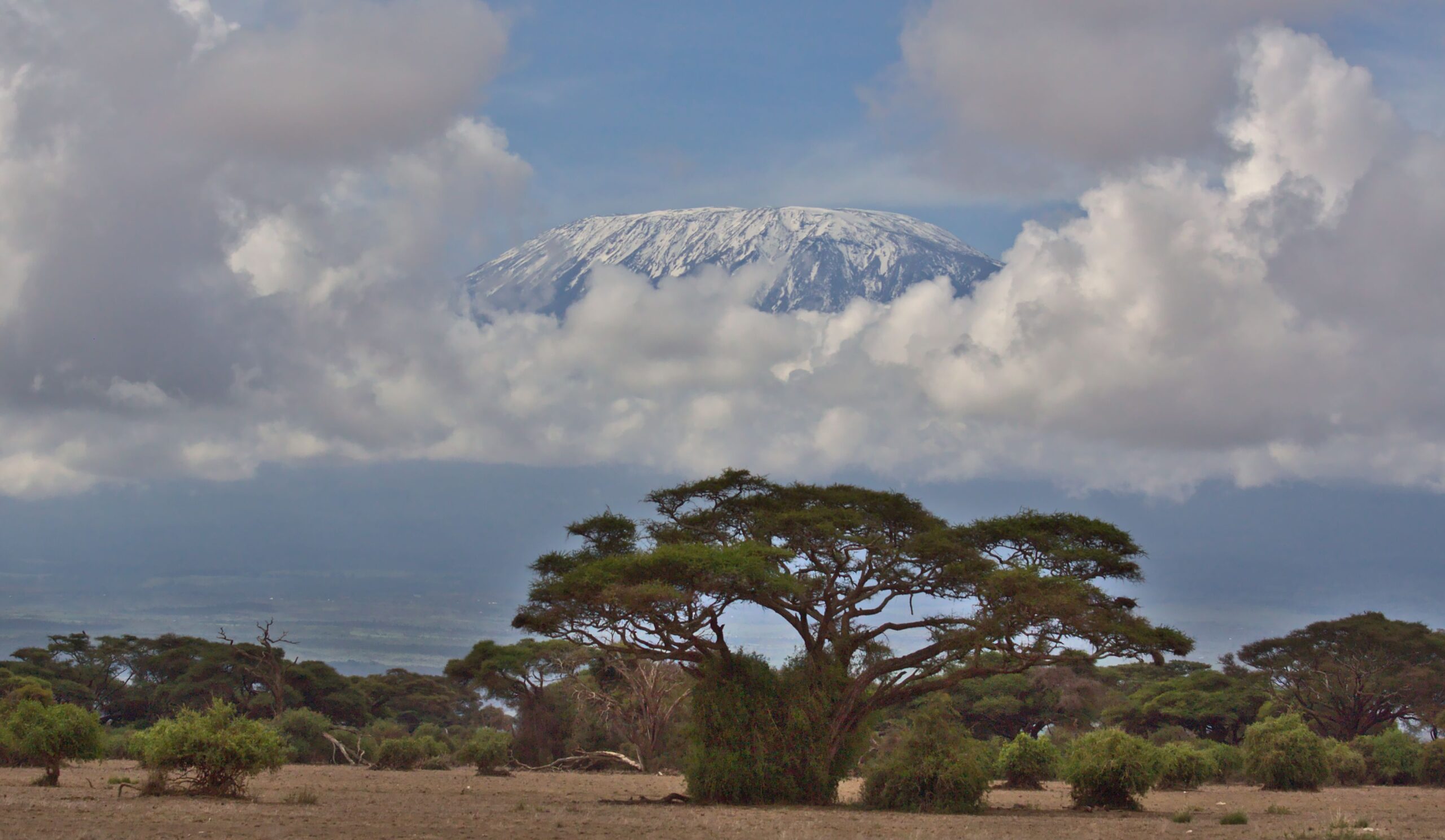Tanzania Safaris