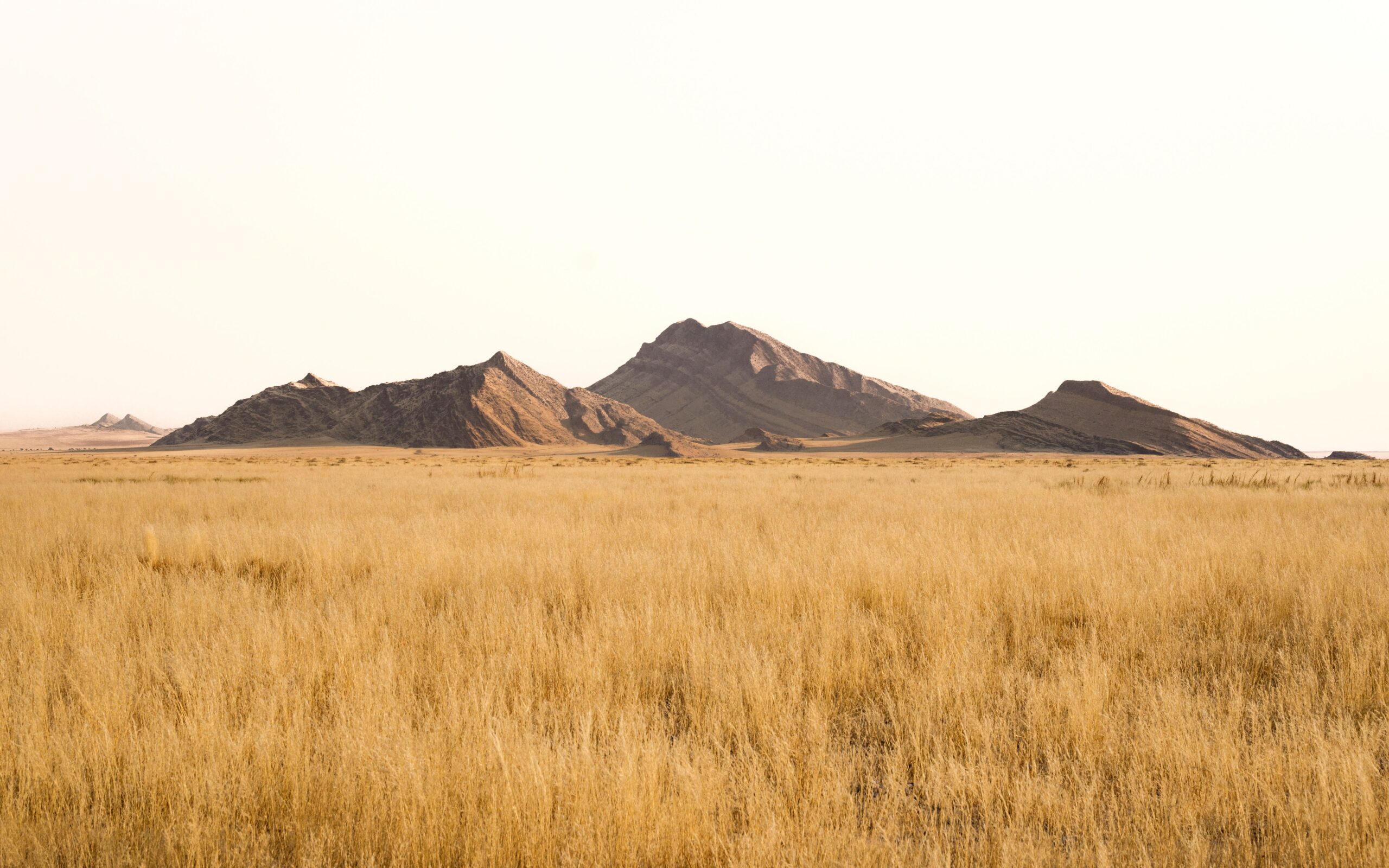 Namibia Safaris