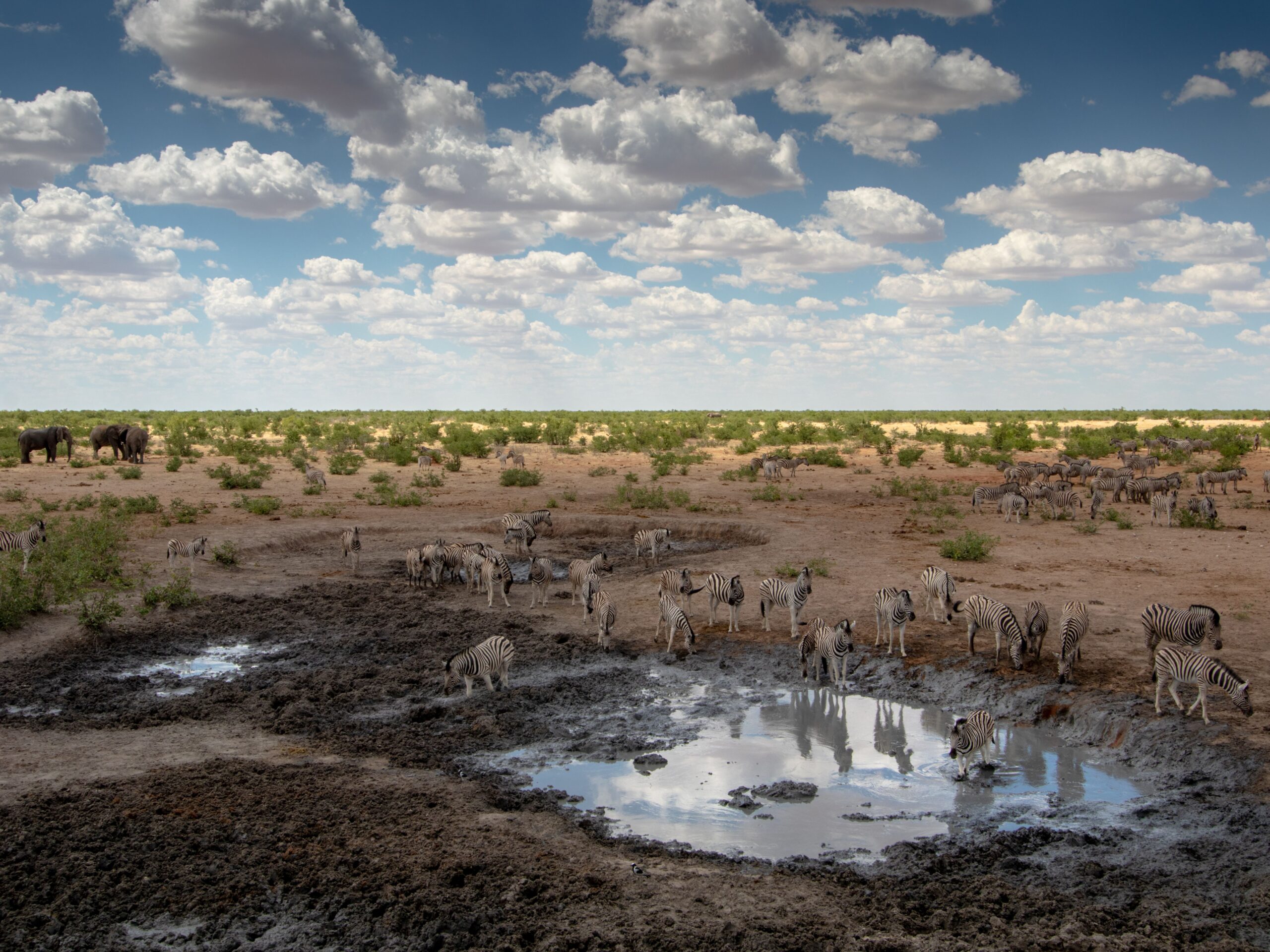 Namibia Safaris