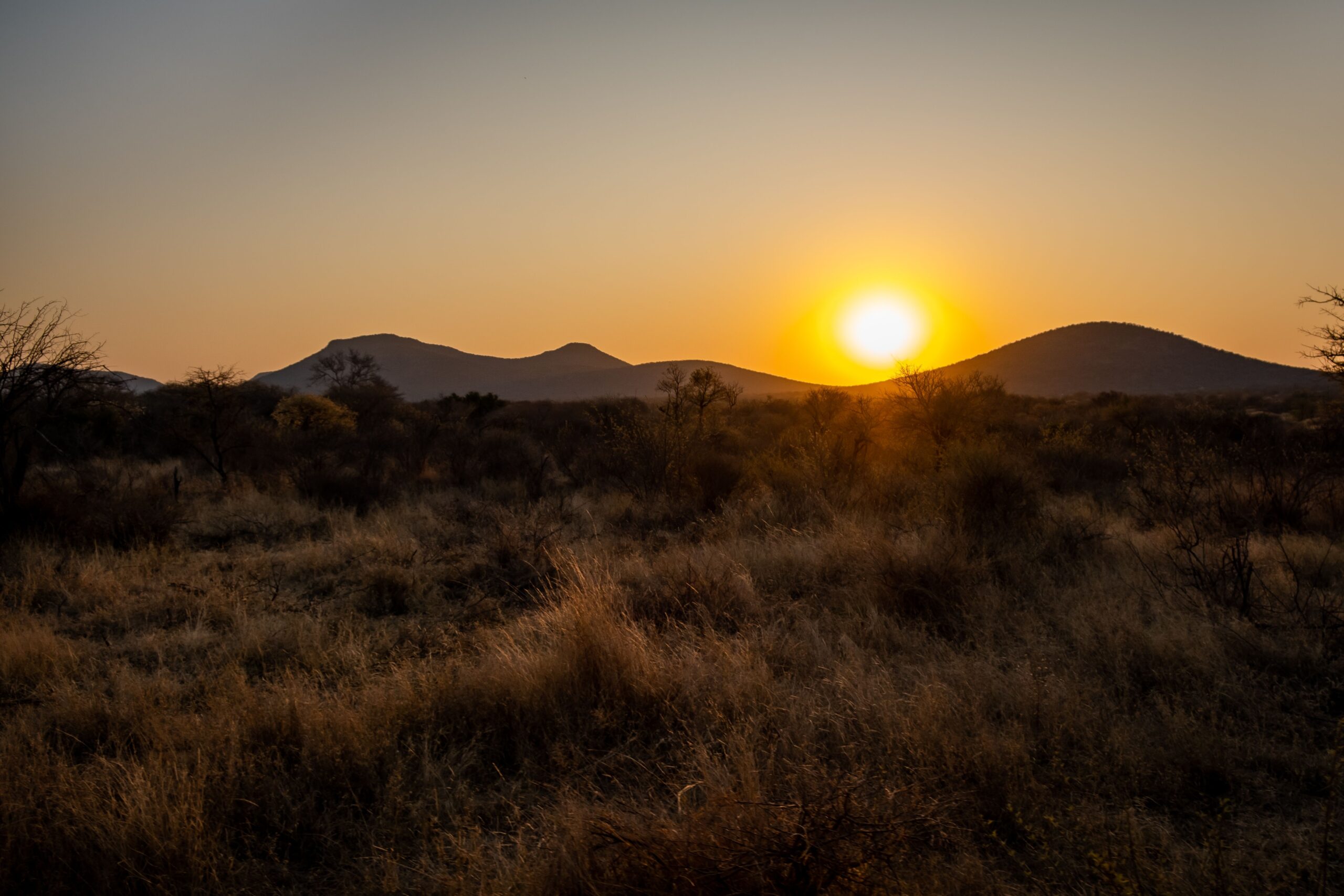 Botswana Safaris